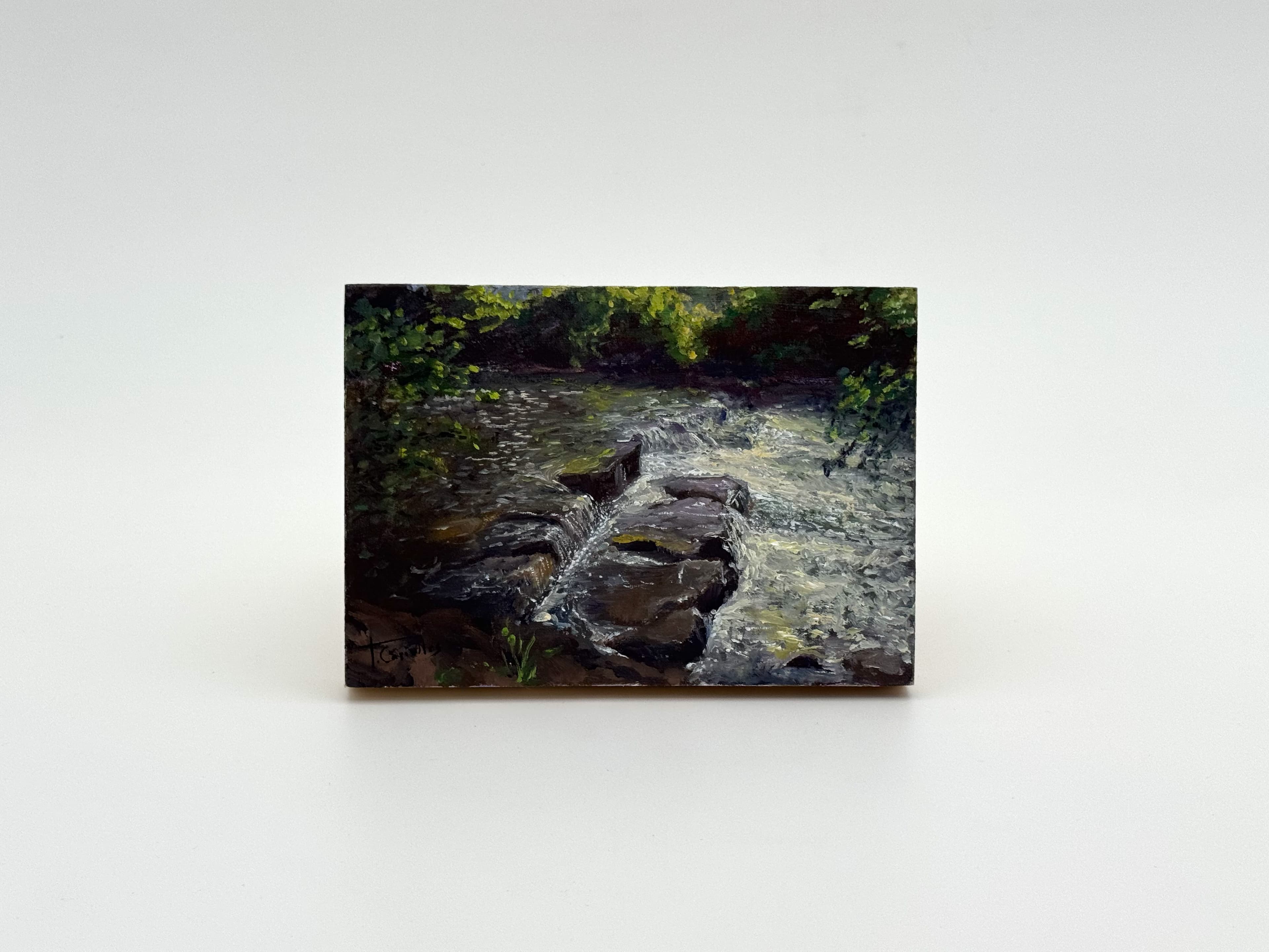 Es el río Nalón, óleo de Tere Casielles.