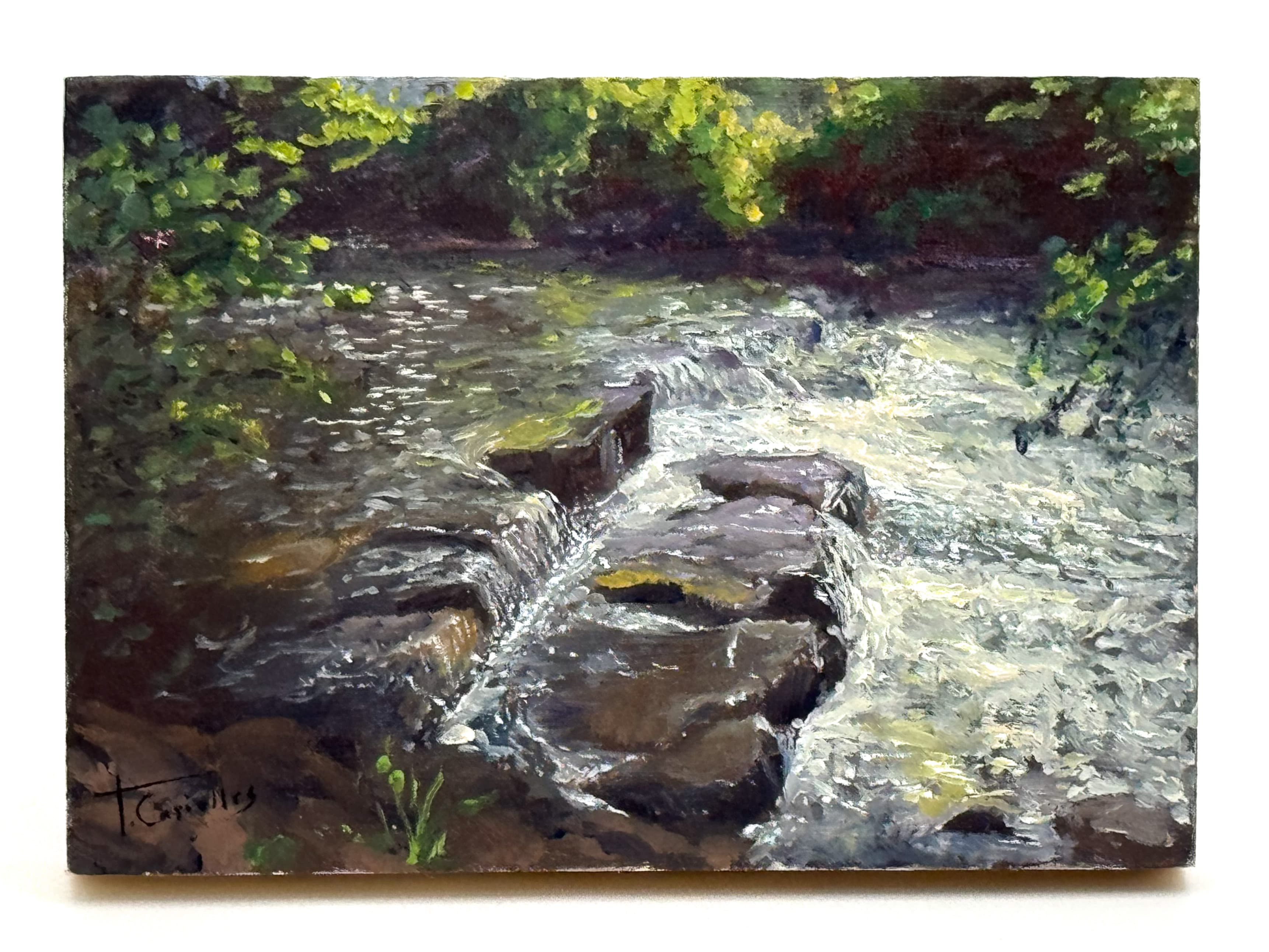 Es el río Nalón, óleo de Tere Casielles.